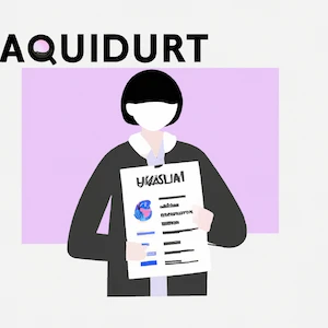 Auditor