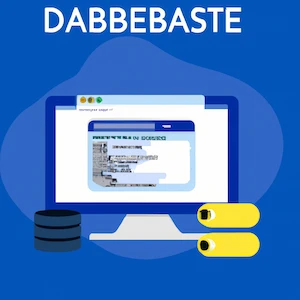 Database Developer