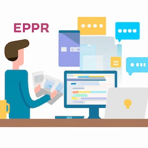 ERP Developer