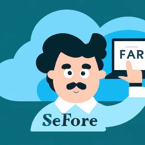 Salesforce Business Analyst