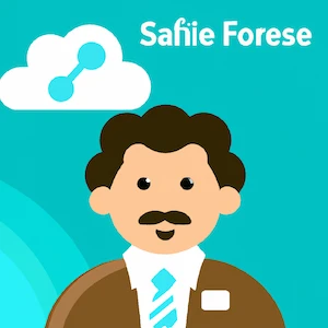 Salesforce Consultant