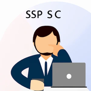 SAP Consultant
