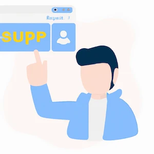 SAP End User