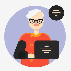 Senior Web Developer