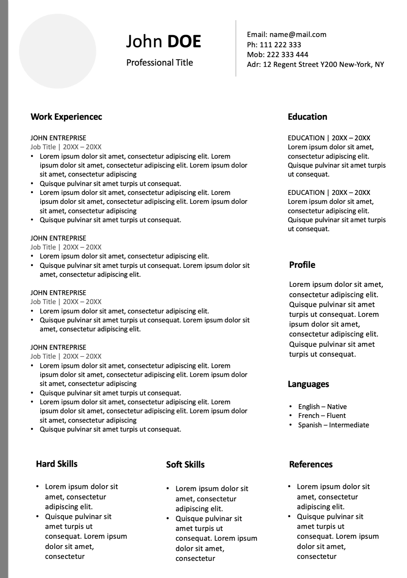 Business Resume template preview