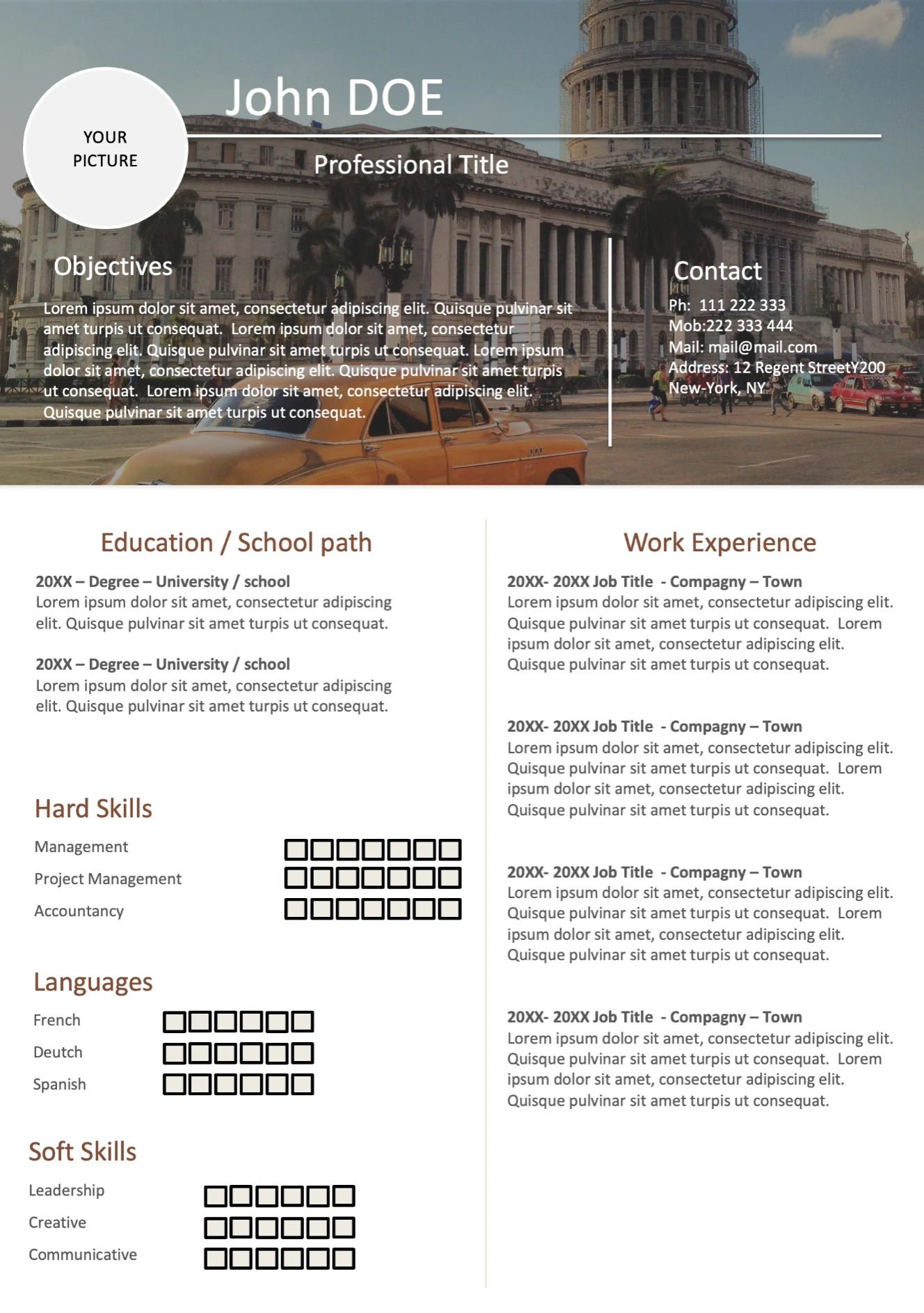 Stylish Resume template preview