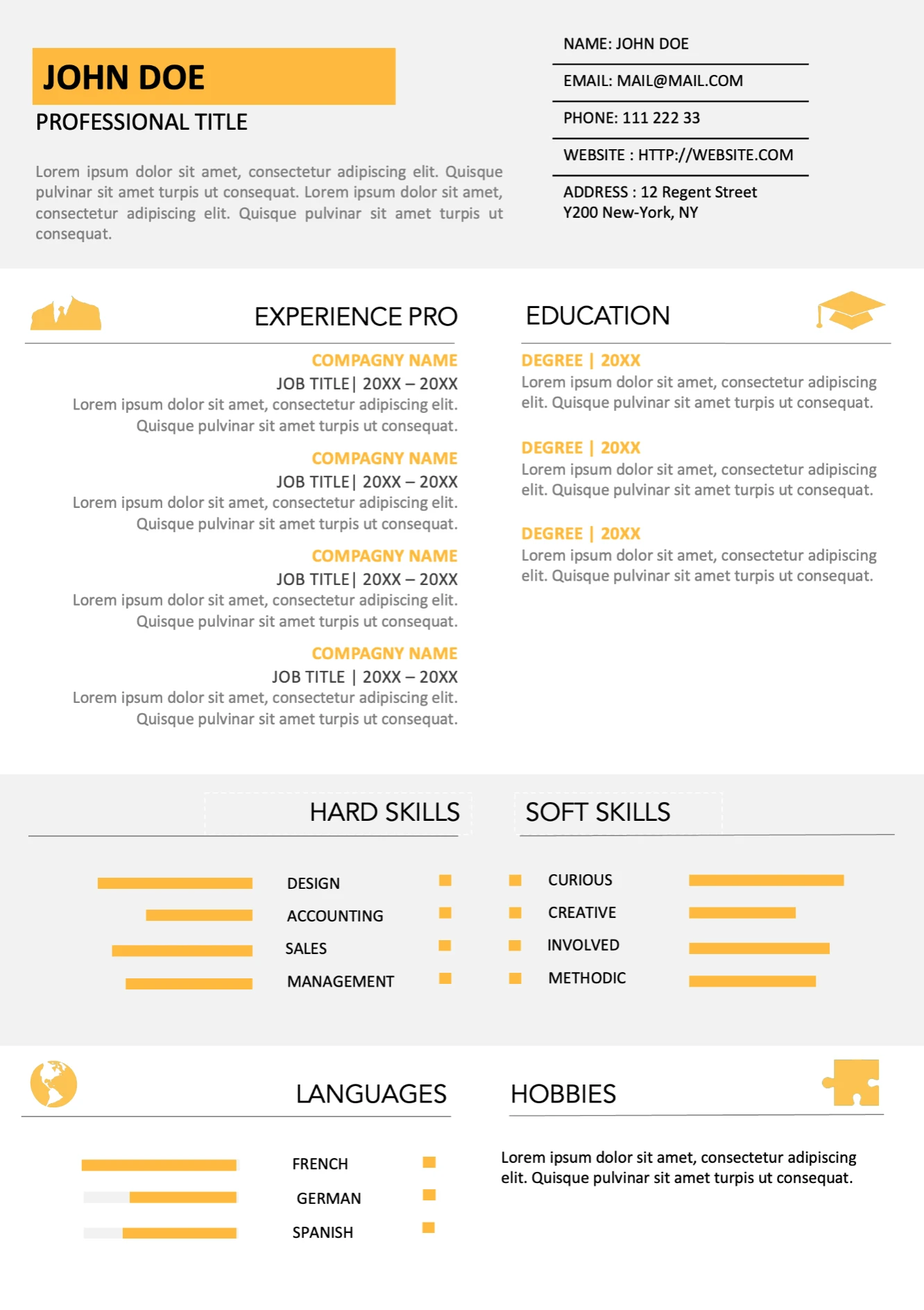 Visual Resume template preview